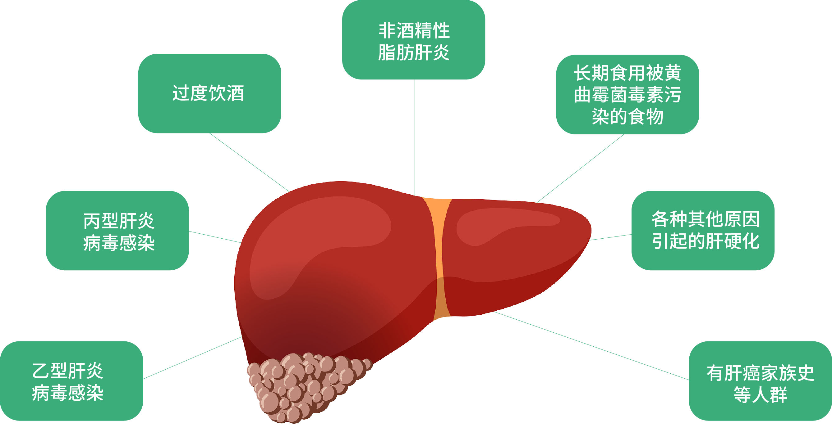 肝痛,肝痛位置图,肝包膜(第11页)_大山谷图库